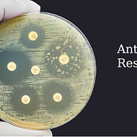 Antibiotic Resistance: What is it, causes and treatment