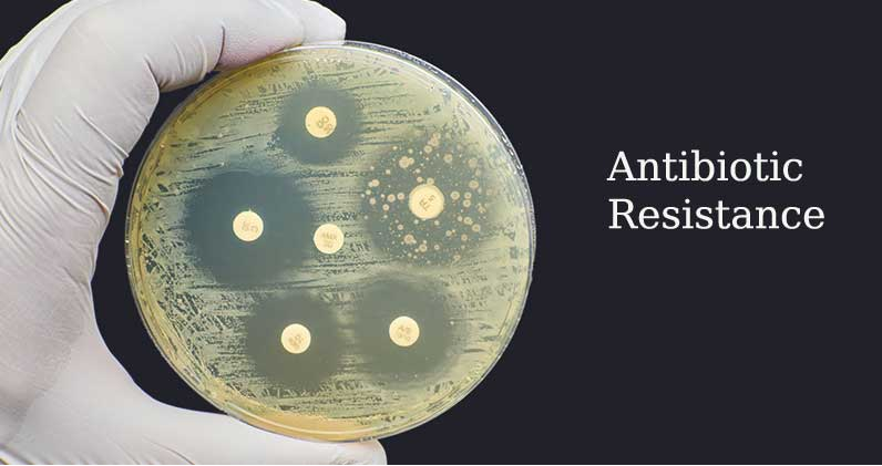 Antibiotic Resistance: What is it, causes and treatment