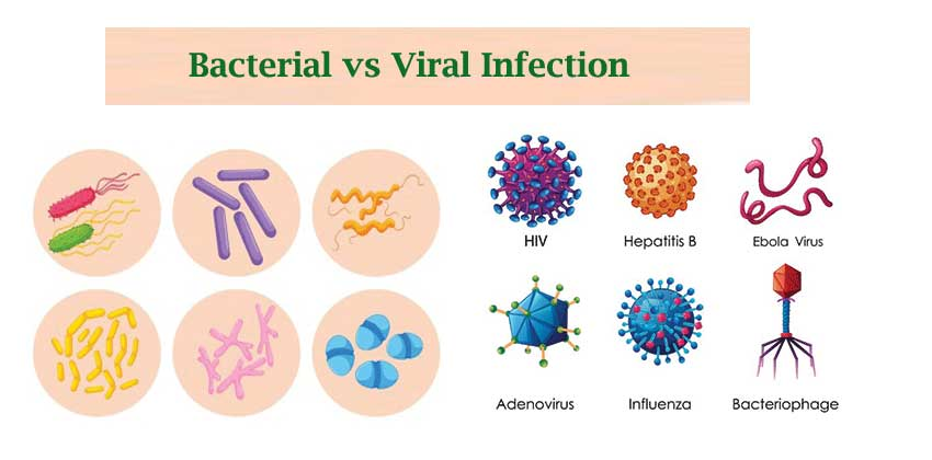 Bacterial vs Viral Infection: Know the Difference